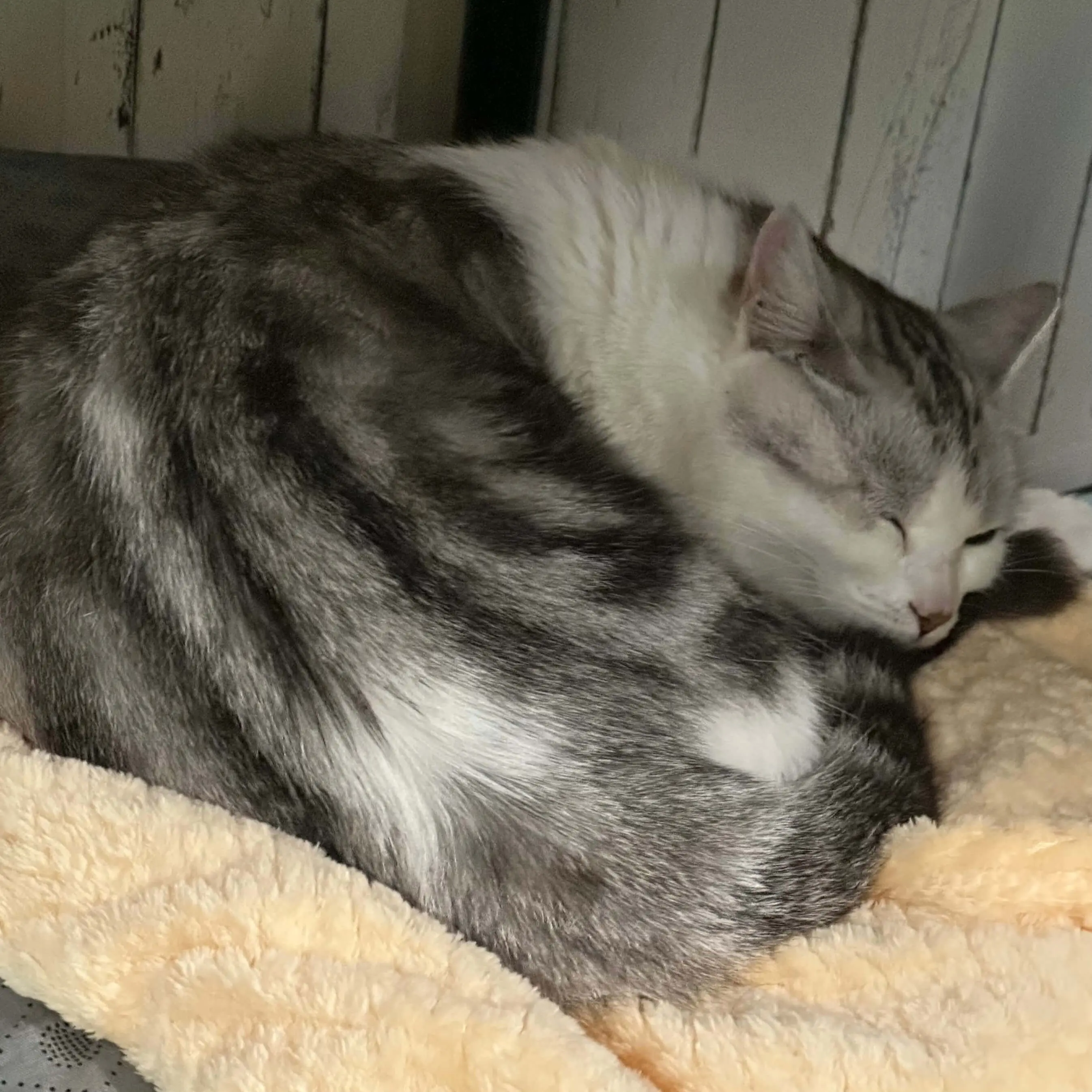 到家的第一个晚上